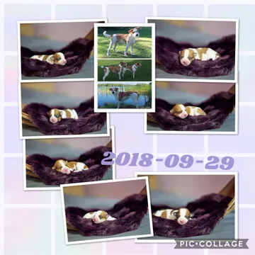 Woche 1: Iafdc622fc1e9c62e