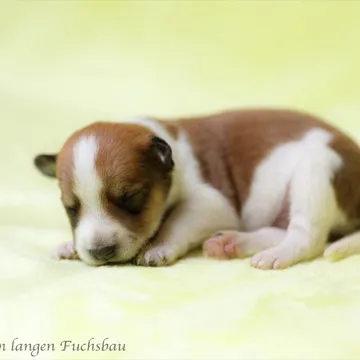 Woche 1: Ie0268c33d071edb9